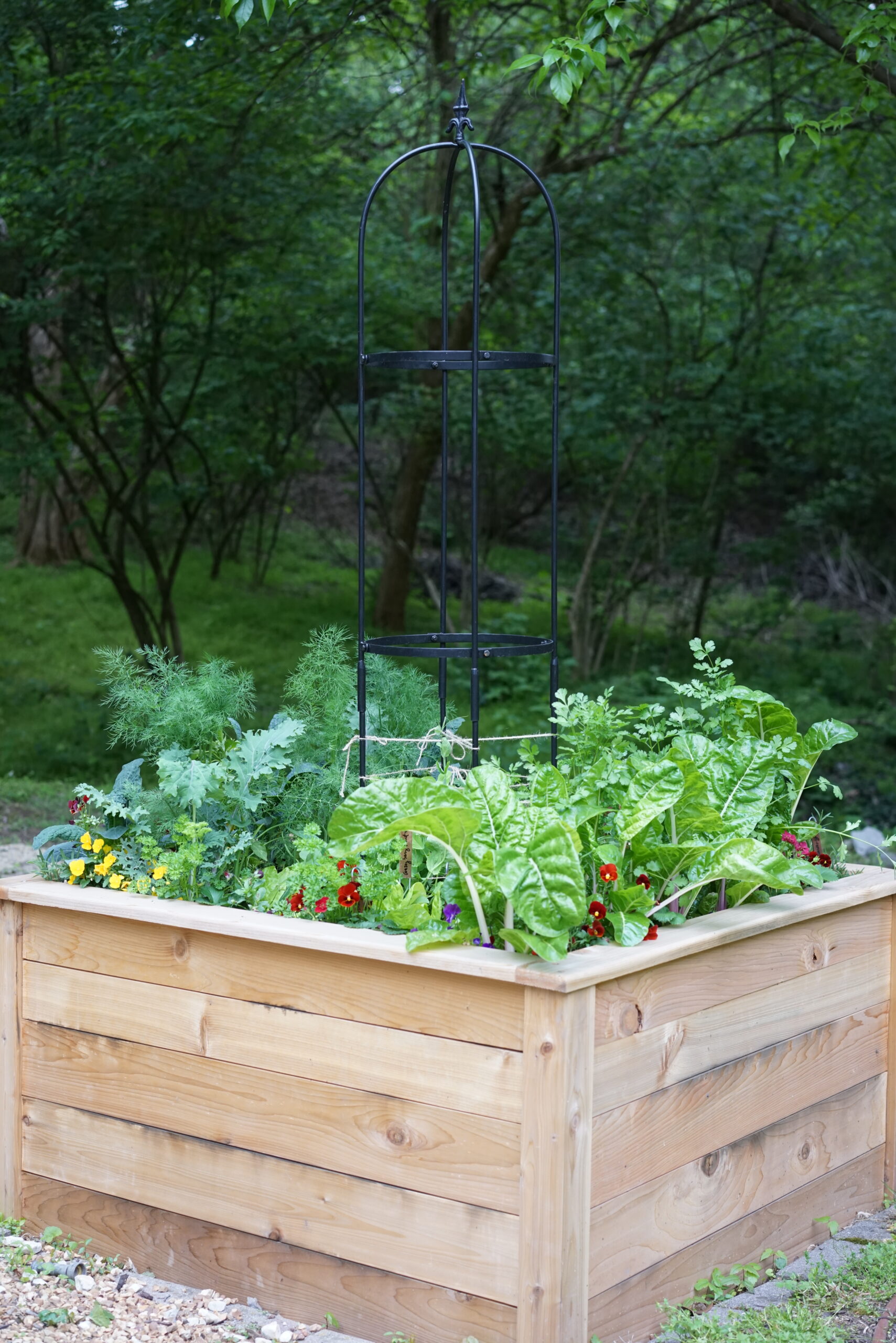 Simple garden raised bed with greens