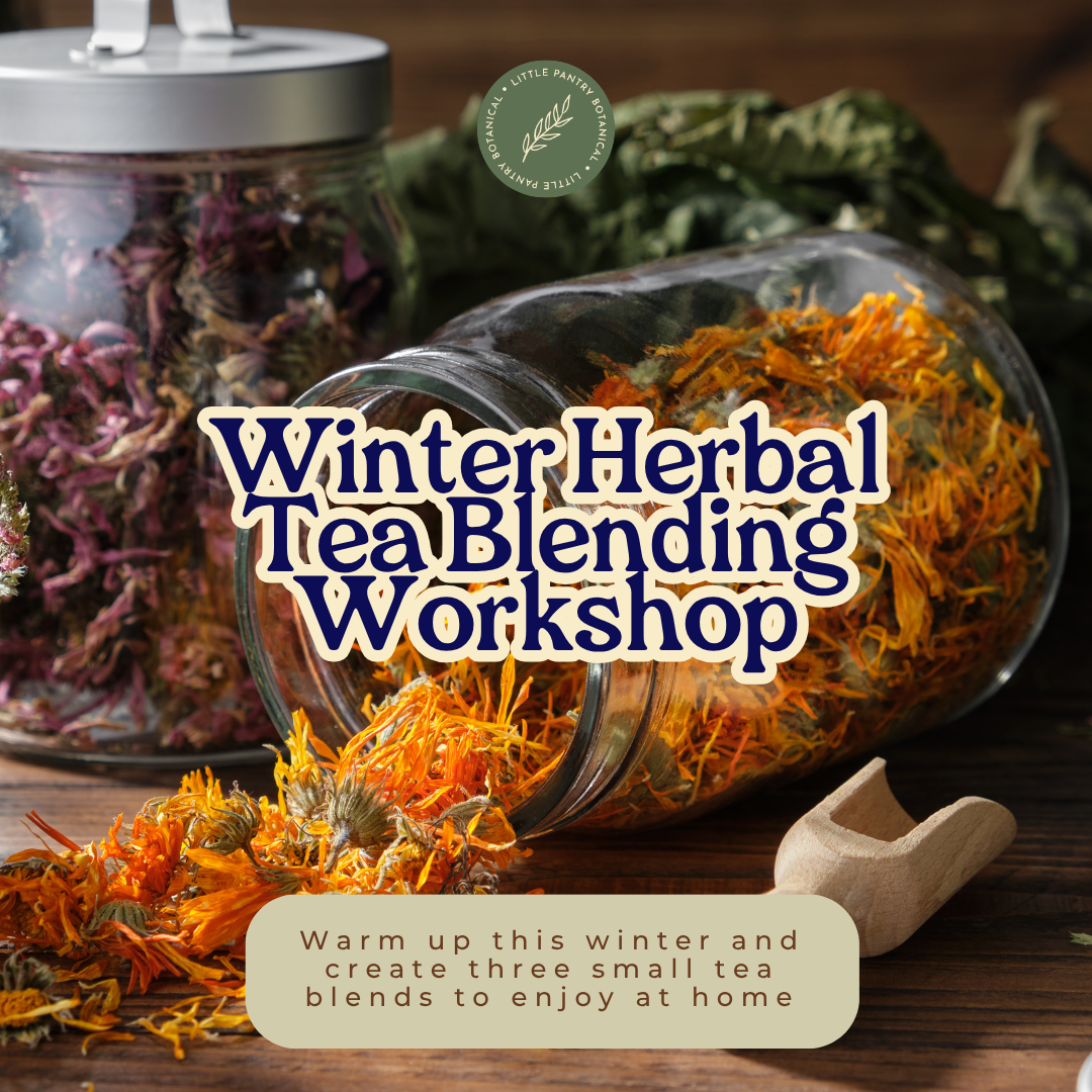 Workshop image 3